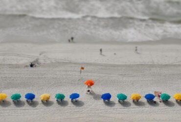 Eventi di Beneficenza con Tema Mare